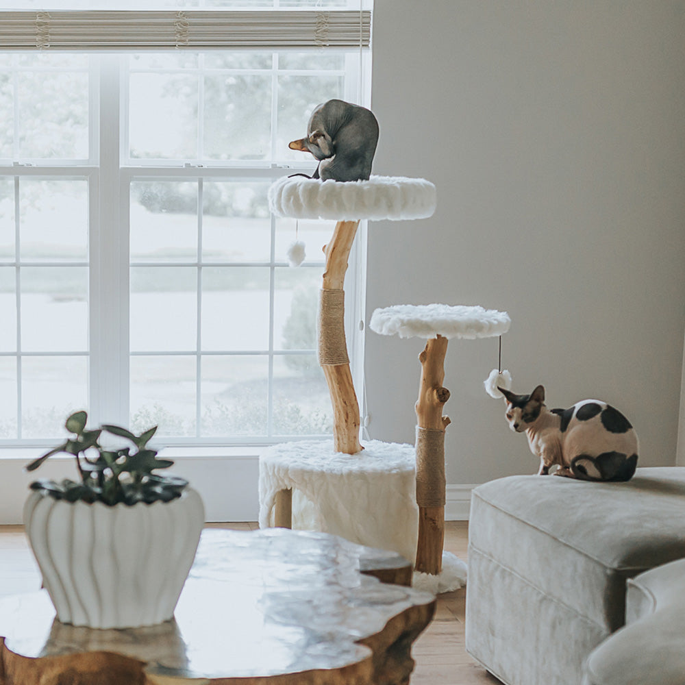 Modern Cat Trees | Luxury Wood Towers & Designer Cat Furniture