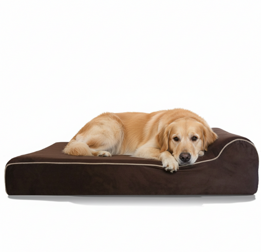 Premium Supportive Dog Bed for Large Breeds - Waterproof Memory Foam | Heavy Duty Construction