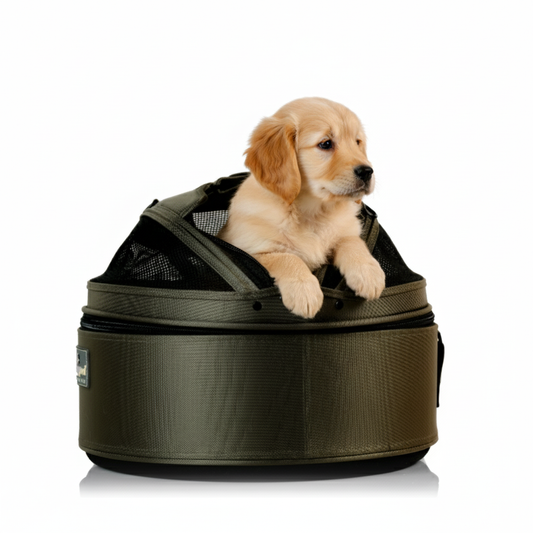 Crash-tested 3-in-1 pet travel bed - convertible carrier and car seat for cats and small dogs
