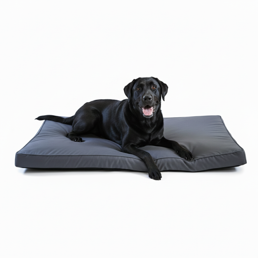 Chew proof dog bed with waterproof protection - premium memory foam for large breeds
