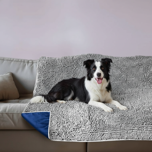 Waterproof dog blanket on couch protecting furniture from pet hair and dirt
