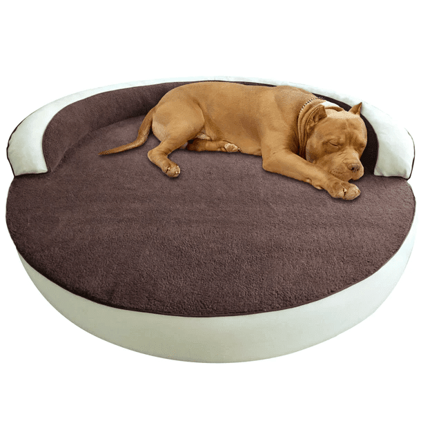 Dog lying on a brown and white pet bed with a white background